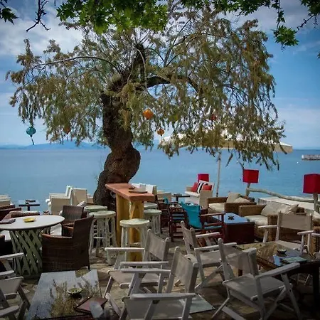 Arriba * أفيسوس