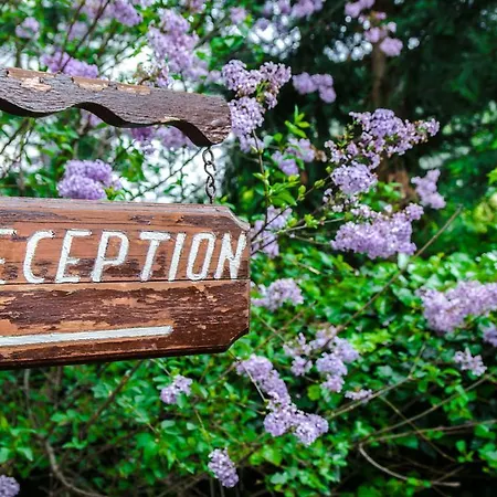 Apartamento Arriba *